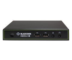 Emerald SE DVI KVM IP Tabanlı Extender Reciever - Dual Head